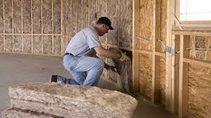 Best Commercial Insulation Services  in Sullivan City, TX